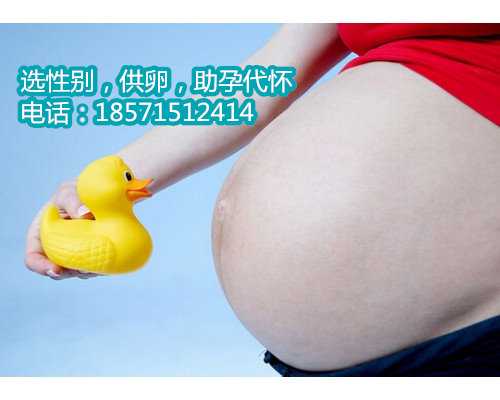 深圳助孕公司官方,狗肉不宜与绿豆同食。