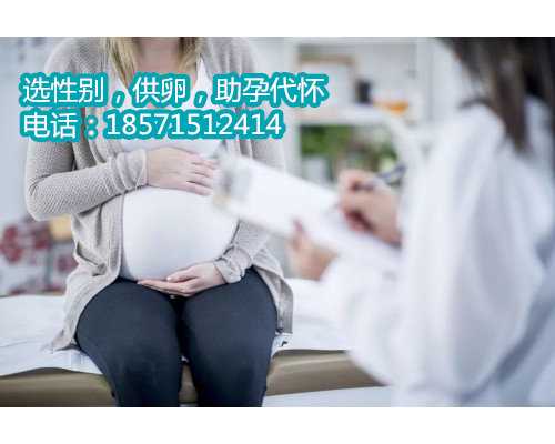 深圳助孕产子中介,32022北京市妇幼试管哪个医生好