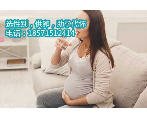 深圳助孕的费用构成,2上海试管婴儿能不能选性别