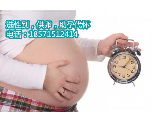 深圳助孕价格咨询,2备孕期间掌握好这几点