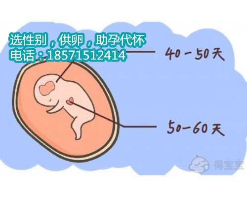 深圳助孕男孩怎么找,卵巢功能早衰怎么治