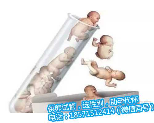 深圳助孕自选性别,习惯性流产可以做第三代试管婴儿吗