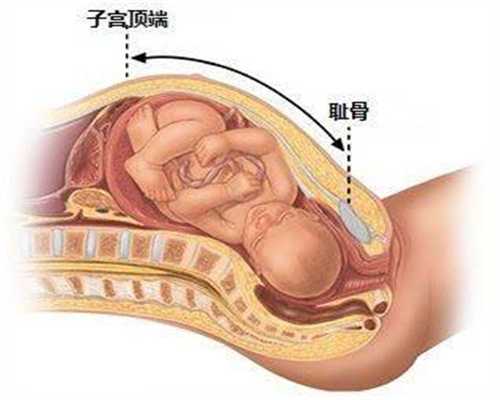 哈尔滨供卵成功率_哈尔滨试管婴儿的服务好不好