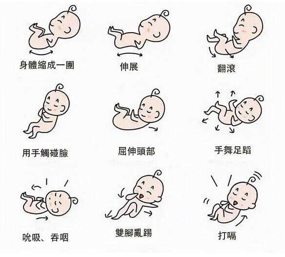 美兰区集爱医院供卵，胎动频繁的6个时间，不同阶段的胎儿，胎动的不同特征