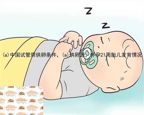 西夏区中国试管用供卵条件，西夏区供卵源，怀孕21周胎儿发育情况