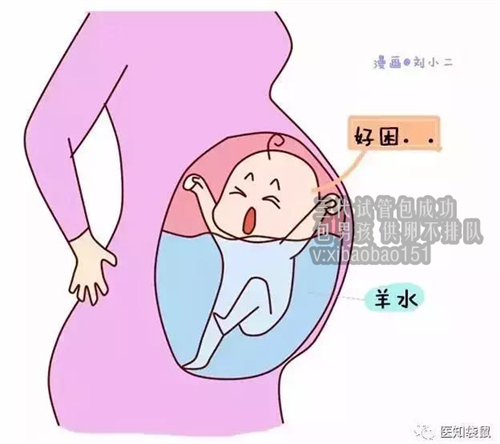 中国崇圣助孕网费用,多囊卵巢促排卵的食物是什么？来看看这些食物
