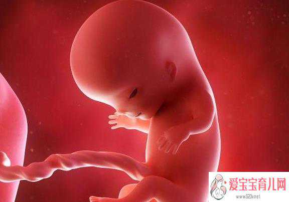 抚宁县和睦优生供卵助孕机构，抚宁县供卵助孕包成功，胎盘低置是什么意思