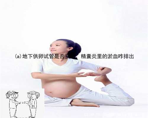 堆龙德庆县地下供卵试管是否安全，精囊炎里的淤血咋排出
