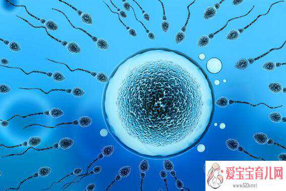 渝北供卵的风险，免疫性不孕为什么会怀孕