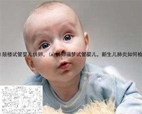 惠民县鼓楼试管婴儿供卵，惠民县供卵福梦试管婴儿，新生儿肺炎如何检查