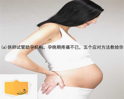 沧源佤族自治县供卵试管助孕机构，孕晚期疼痛不已，五个应对方法教给你
