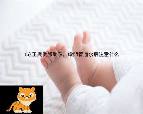 郧西县正规供卵助孕，输卵管通水后注意什么