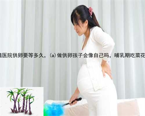 寿　县生殖医院供卵要等多久，寿　县做供卵孩子会像自己吗，哺乳期吃菜花回