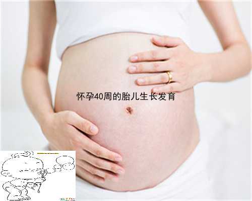 怀孕40周的胎儿生长发育