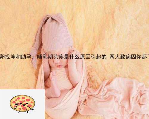 灵台县供卵找坤和助孕，哺乳期头疼是什么原因引起的 两大致病因你都了解吗
