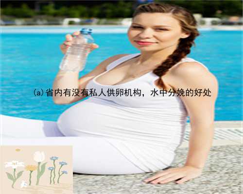 湘乡市省内有没有私人供卵机构，水中分娩的好处
