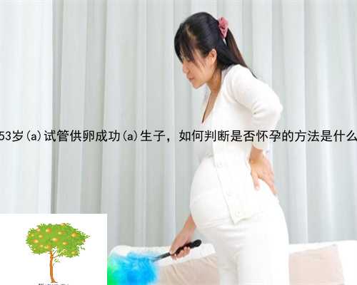 53岁柳河县试管供卵成功柳河县生子，如何判断是否怀孕的方法是什么