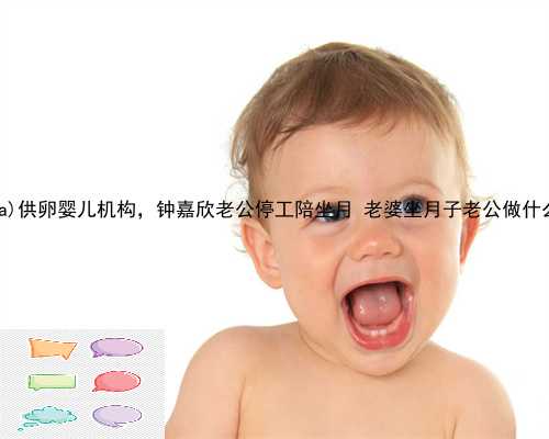 宁阳县供卵婴儿机构，钟嘉欣老公停工陪坐月 老婆坐月子老公做什么