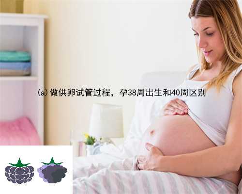 翁牛特旗做供卵试管过程，孕38周出生和40周区别