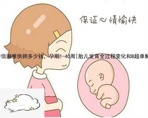 谯城区中信湘雅供卵多少钱，孕期1-40周|胎儿发育全过程变化和B超单解读！