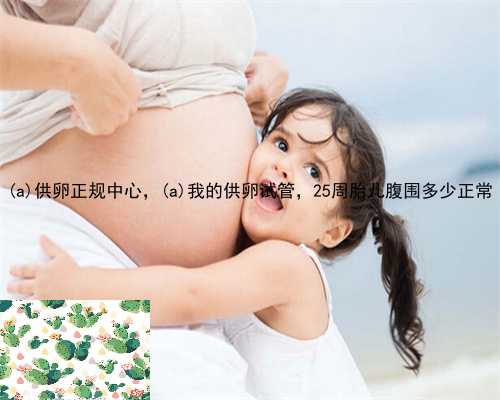 万荣县供卵正规中心，万荣县我的供卵试管，25周胎儿腹围多少正常