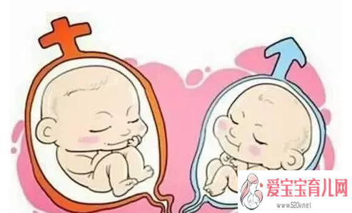 2019年3月25日受孕生男生女怎么看农历二月十九怀孕是男孩还是女孩