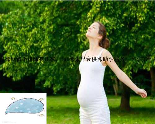 威远县供卵试管不排队有几家，威远县卵巢早衰供卵助孕服务，怀孕第十三周