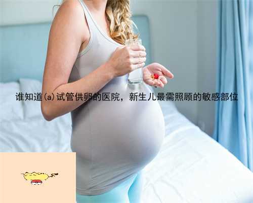 谁知道荣　县试管供卵的医院，新生儿最需照顾的敏感部位