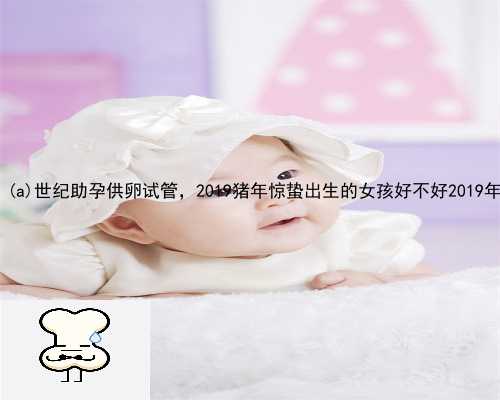 湘潭县金贝供卵成功率，湘潭县世纪助孕供卵试管，2019猪年惊蛰出生的女孩好