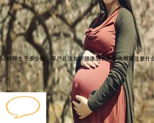 景谷傣族彝族自治县供卵生子多少钱，早产儿该如何健康成长呢孕晚期要注意什