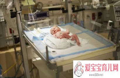 巴林左旗供卵机构安全吗，早产儿的护理与喂养早产儿正确护理方法