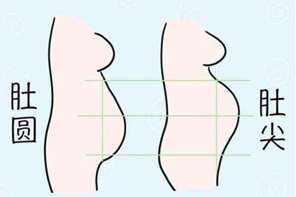宁远县供卵中介怎样联系，孕妇肚子尖是男孩还是女孩？肚子尖就一定是儿子吗