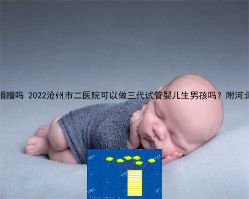 供卵可以自己找人捐赠吗 2022沧州市二医院可以做三代试管婴儿生男孩吗？附河