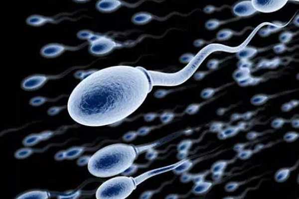 内乡县三代试管供卵生子，揭示导致男性畸形精子率越来越多的重要原因。别做