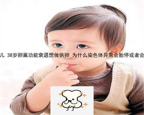 中国有供卵试管婴儿 38岁卵巢功能衰退想做供卵 为什么染色体异常会胎停或者