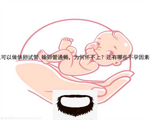 中国哪里可以做供卵试管 输卵管通畅，为何怀不上？还有哪些不孕因素要注意