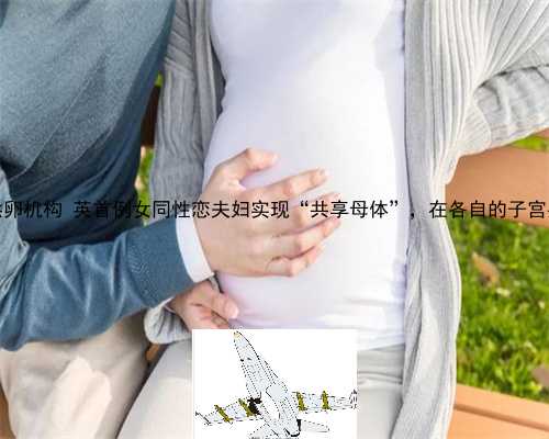 中国哪里有供卵机构 英首例女同性恋夫妇实现“共享母体”，在各自的子宫共