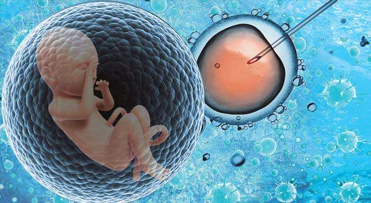 助孕微信QQ,日本试管助孕期间，是不是男性禁欲就能把精子养好呢？