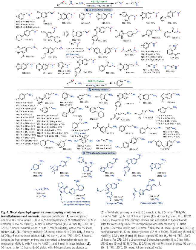 供卵宝宝 Ni催化丁腈与胺氢化偶联用于一般胺的合成