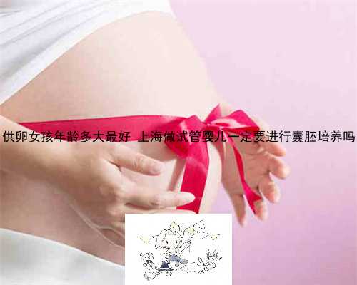 供卵失败 供卵女孩年龄多大最好 上海做试管婴儿一定要进行囊胚培养吗（455）