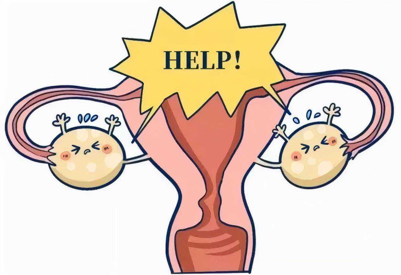 46岁供卵移植囊胚的成功率 久备不孕可能是排卵障碍！做什么样的检查来判断无