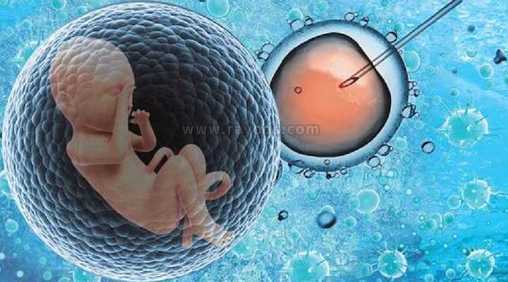 深圳借卵生子的过程，死精症可以做试管婴儿吗?成功率有多少?