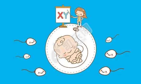 深圳助孕费用多少合适,卵巢早衰可以吃促排卵药吗