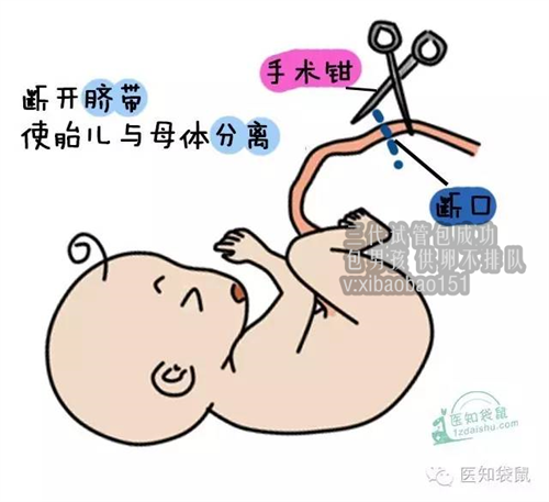 深圳助孕手术花多少钱,2试管移植后黄体支持的作用是什么
