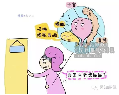 深圳助孕产子机构价格,小孩奶粉如何冲调
