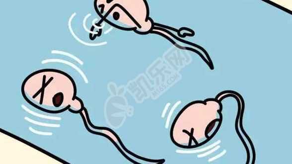 深圳助孕服务机构,3哪些人容易染色体异常